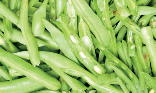 Beans Green Sliced (Euro)