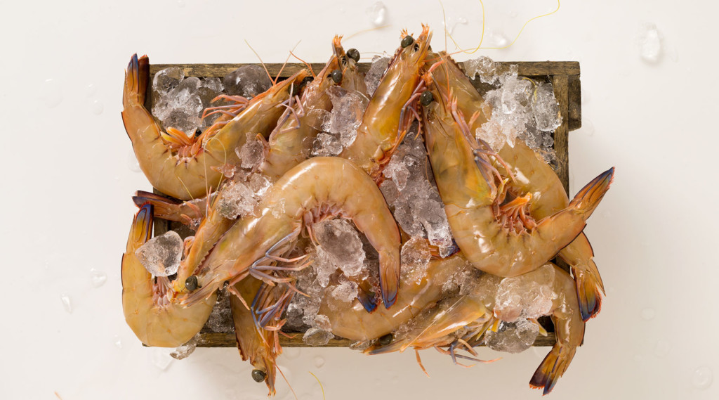 Spencer Gulf Prawns Product Table