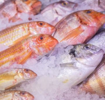 What to Look for when Purchasing Whole Fish