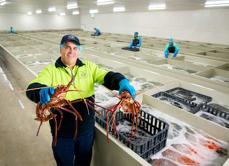 Pioneers of the Australian Seafood Industry